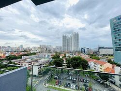 Sturdee Residences (D8), Condominium #460356511